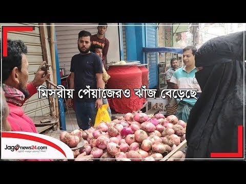 দাম বেড়েছে মিসরীয় পেঁয়াজের | Jagonews24.com