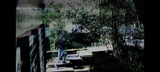 BAKIRKÖY'DE CİPİN BİNANIN BAHÇESİNE DÜŞTÜĞÜ ANLAR KAMERADA