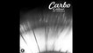 CARBO - GILAR k21 extended