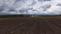 2 yıl önce Trakya'da ilk olarak ekilen kuşkonmazın hasadı yapıldı