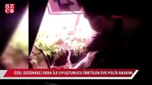 Adana'da özel düzenekli sera ile uyuşturucu üretilen eve polis baskını