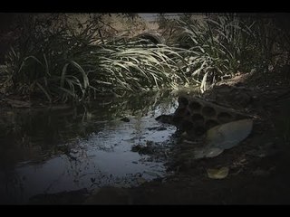 نهر السرطان يغرق قرية بقاعية بالشؤم والموت! - تحقيق ميان صبح