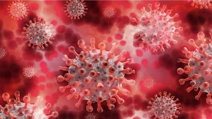 What is double and triple mutant corona?