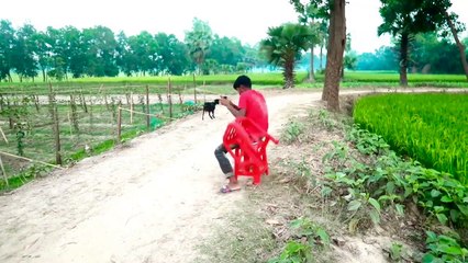 Must Watch New Funny Video 2021 Top New Comedy Video 2021 Try To Not Laugh Episode 40 By #Funloverbd