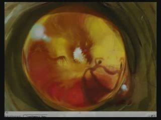 Plusieurs extraits speed painting 25 02 2008