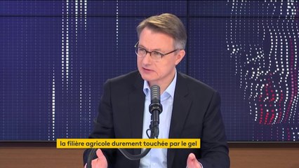 Gel des récoltes : le président de Système U promet "le paiement comptant des fournisseurs"