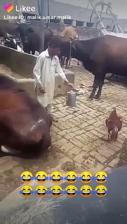 Viral tiktok New video