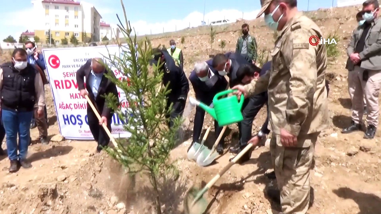 Erciş’te Afrin şehidi anısına 375  fidan dikildi