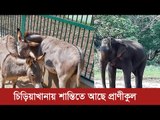 দর্শনার্থীশূন্য চিড়িয়াখানায় শান্তিতে আছে প্রাণীকুল | Jagonews24.com