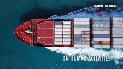 Akdeniz ve Karadeniz'de 100 bilim insanının çalışması tamamlandı: 800 binden fazla balina ile yunus yaşıyor