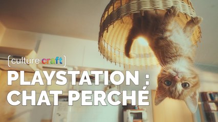 PlayStation : Chat Perché - Culture Craft