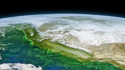 What Ocean Microbes Reveal About The Changing Climate | Angelicque White