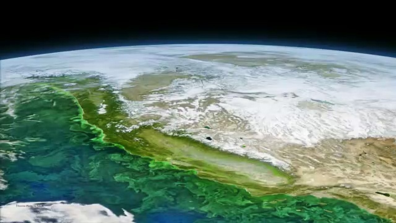 What Ocean Microbes Reveal About The Changing Climate | Angelicque White