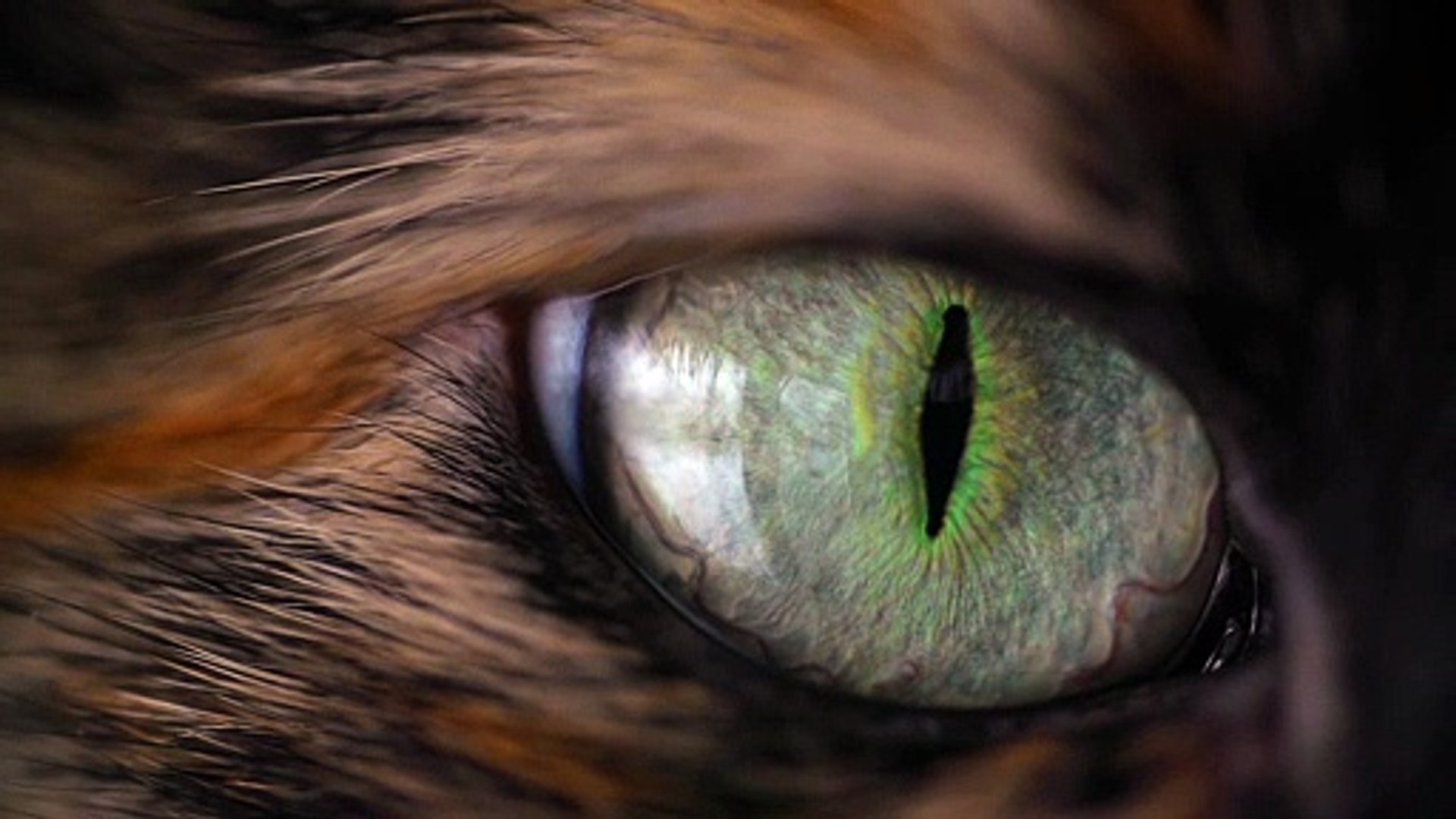 Cateye 8K HD