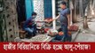 হাজীর বিরিয়ানির দোকানে বিক্রি হচ্ছে আলু পেঁয়াজ! | Jagonews24.com