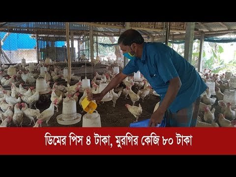 ‘ডিমের পিস চার টাকা, মুরগির কেজি ৮০ টাকা।' | Jagonews24.com