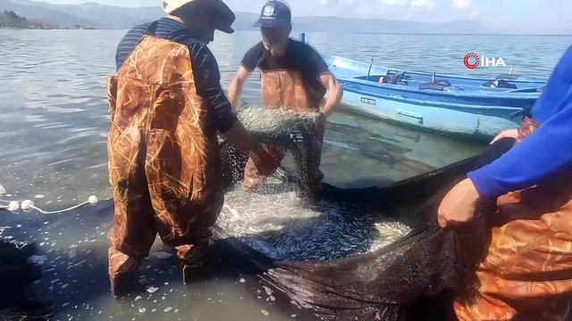 İznik Gölü’nde gümüş balığı rekoru: 1 günde 15 ton