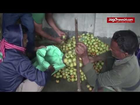 ভাইরাল কৃষক আমিরের পাশে স্বপ্ন | Jagonews24.com