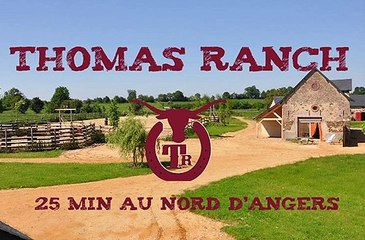 présentation I Will Survive du TR