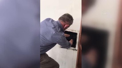 Kalorifer kazanı bacasına sıkışan martı kurtarıldı