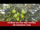 সাতক্ষীরায় আম নিয়ে শঙ্কায় ব্যবসায়ীরা, নেই বাজারজাতের ব্যবস্থা | Jagonews24.com