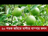 ২০ শতক জমিতে মাল্টার বাম্পার ফলন | Jagonews24.com