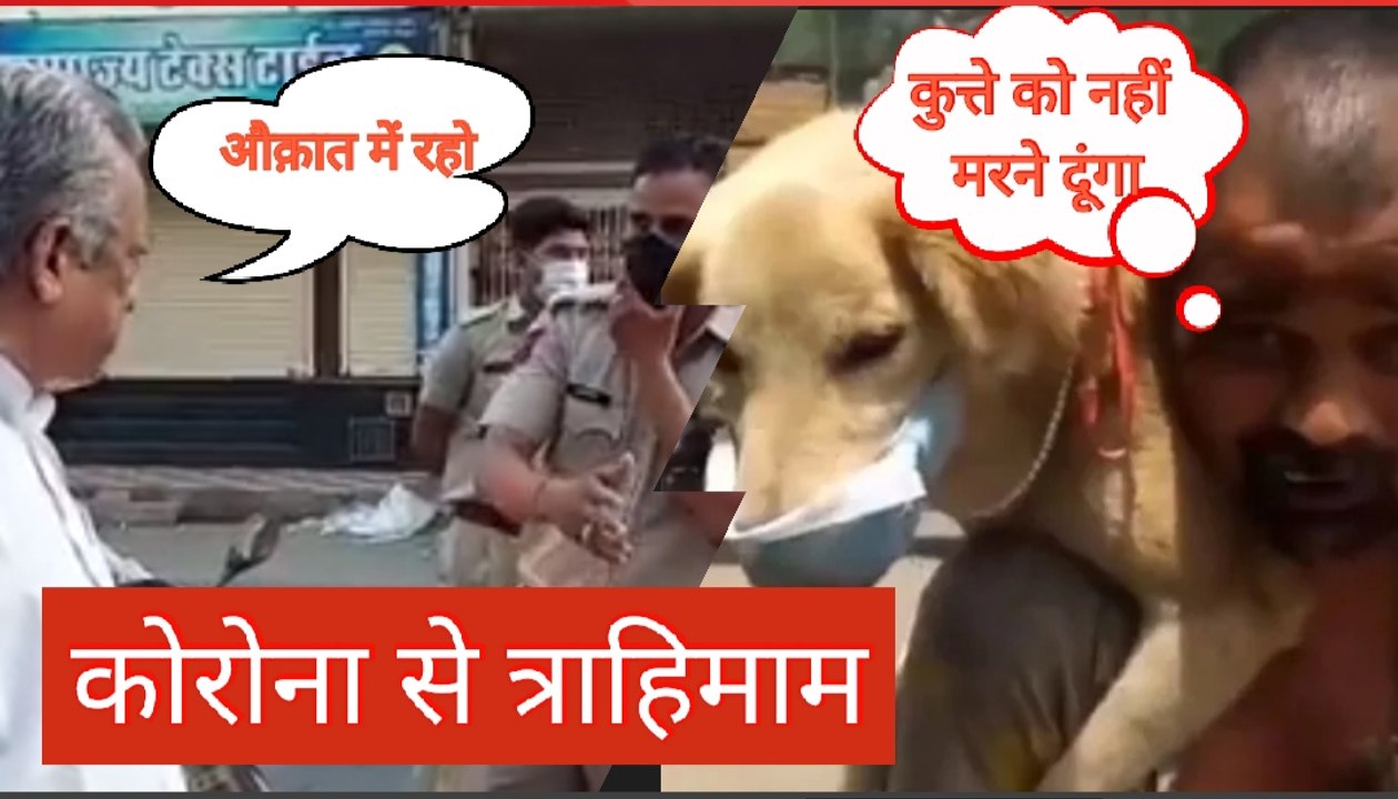 Viral Video: कोरोना से त्राहिमाम, कहीं अस्पताल पर लूटने के आरोप, तो कहीं कुत्ते को पहनाया मास्क