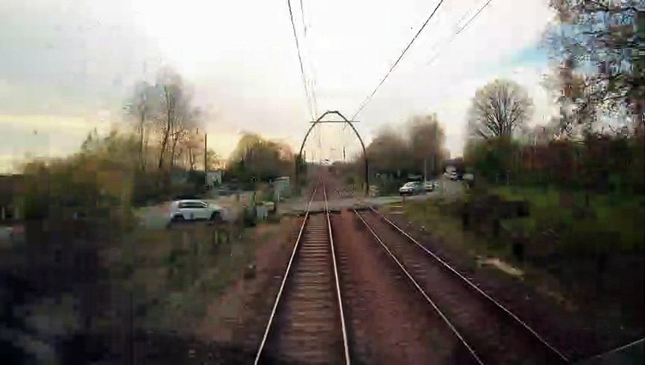 Des nids de cigognes au-dessus d'une ligne ferroviaire (Landes)