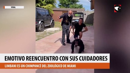 Emotivo reencuentro con sus cuidadores