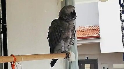 Kendini çoğu insandan iyi ifade ediyor