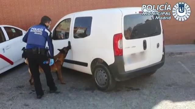 Detenidas tres personas e intervenidos cinco kilos de marihuana en un vehículo interceptado en Puente de Vallecas por la Policía