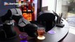 Una empresa suiza crea un robot camarero para bares y restaurantes para evitar contagios