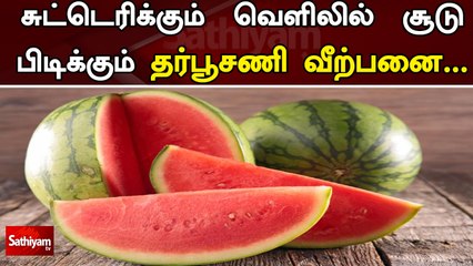 சுட்டெரிக்கும்  வெளிலில்  சூடு  பிடிக்கும்  தர்பூசணி  வீற்பனை...| Water Melon | Heat | SathiyamTv