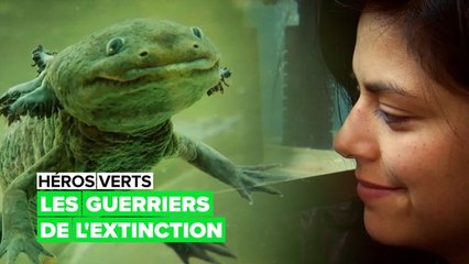 Protéger les monstres aquatiques