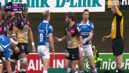 Montpellier Dragons 2016 Challenge Cup semi-final EN