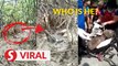 Man trapped in mangrove for hours rescued