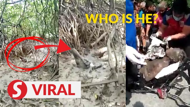 Man trapped in mangrove for hours rescued