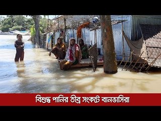 বিশুদ্ধ পানির তীব্র সংকটে বানভাসিরা  | Jagonews24.com