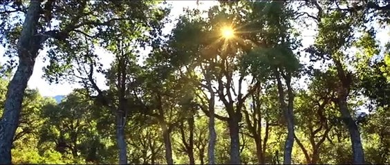 Clara Morgane - Eve (Clip Officiel)