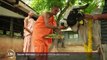 Animaux sacrés : les vaches, le trésor vénéré des hindous