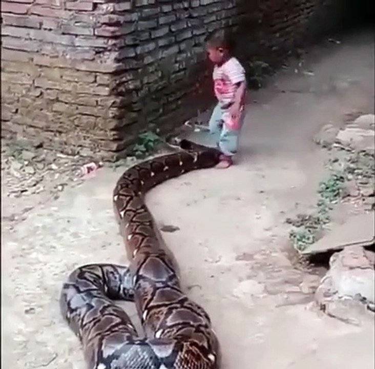 FINALLY - A child playing without a cell phone!