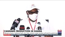 Cannabis Production in Ghana - News Desk on JoyNews (22-4-21)