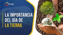Día de la Tierra 2021: La COVID-19 y su impacto en la Madre Naturaleza
