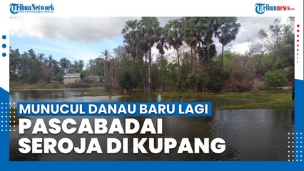Muncul Danau Baru Lagi di Kota Kupang Pascabadai Seroja, Luasnya 2 Hektare