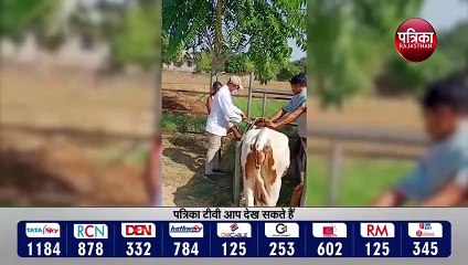 वेटरनरी संस्थाओं में काम ठप्प