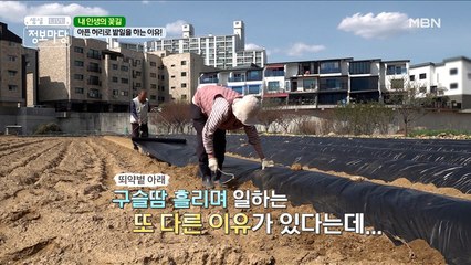 이렇게 아파도 쉴 수 없었던 이유, 가슴 아픈 母情