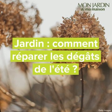 Jardin : comment réparer les dégâts de l'été ?