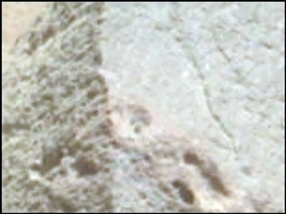 Mars Perseverance Rover Capture Ancient Rock with Holes and Cryptic Pattern