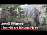 খোলেনি চিড়িয়াখানা, নীরব পরিবেশে জীবজন্তুর বিচরণ | Jagonews24.com