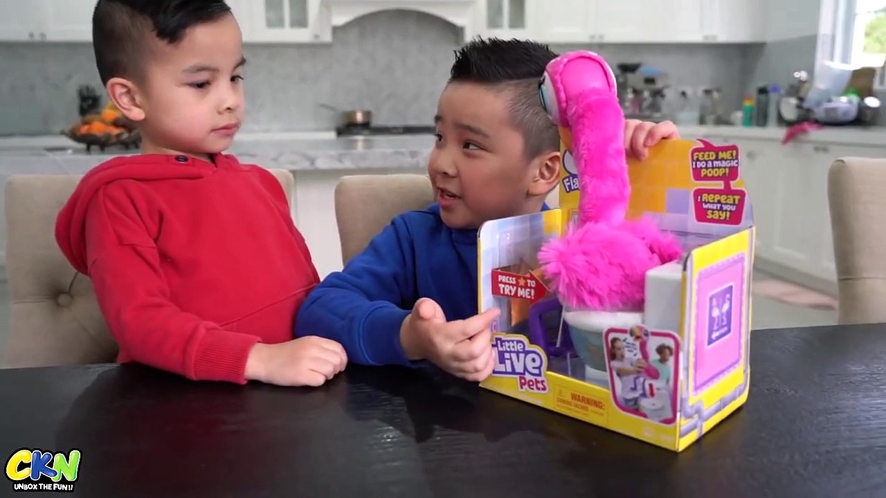 This Will Make You Laugh Gotta Go Flamingo Ckn video Dailymotion